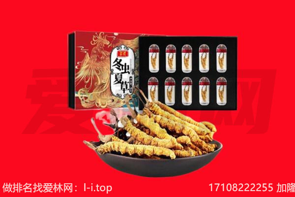 德宏州盈江县回收虫草.jpg